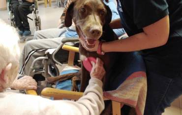Terapia con animales en residencias de mayores