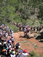 TrialSiguenza 150x200