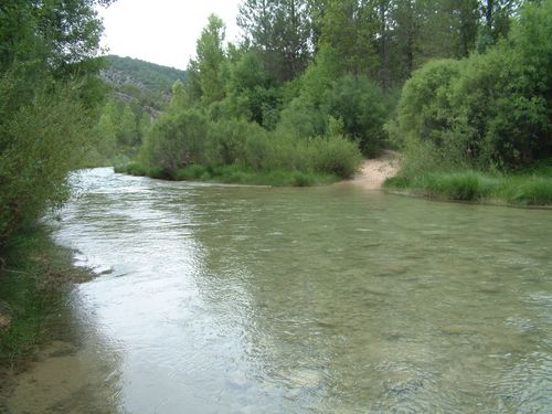 tajo aguas 5