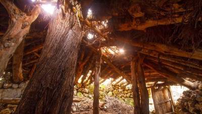 chozon-sabinero-escalera--644x362-400x225