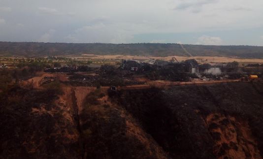 chiloeches-planta-quemada