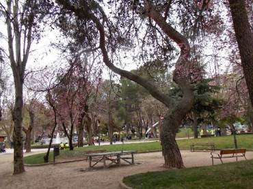 Concordia-parque-370x277