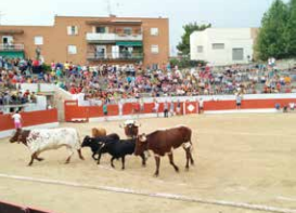 Sacedon-Toros