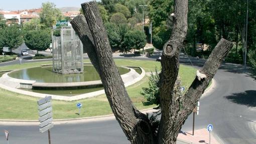 OLMA VIEJA PLAZA BEJANQUE