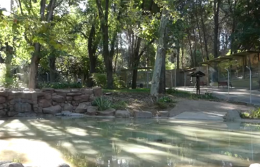 Captura de pantalla 2020-08-05 a las 14.08.09-370x238