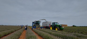 APAG  Jornada Agricultura de Precisión en Lavanda 8