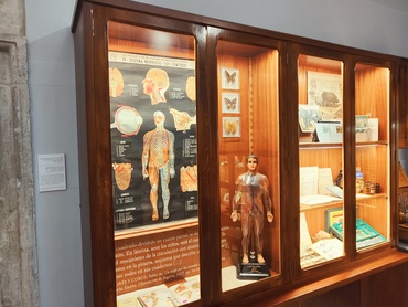 UAH Museo magisterio Antonio Molero vitrinas