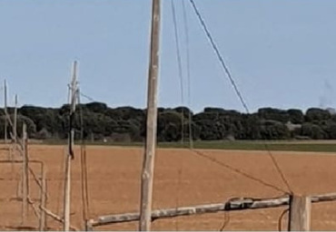 Corte Telefónica cobre 2