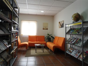 Biblioteca Manu Leguineche Brihuega