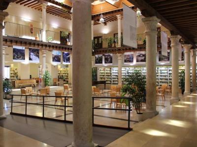 BibliotecaGuadalajara3 0