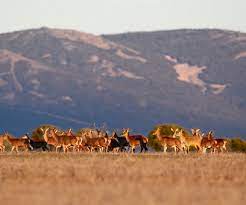 Berrea Foto Turismo de Castilla La Mancha 2