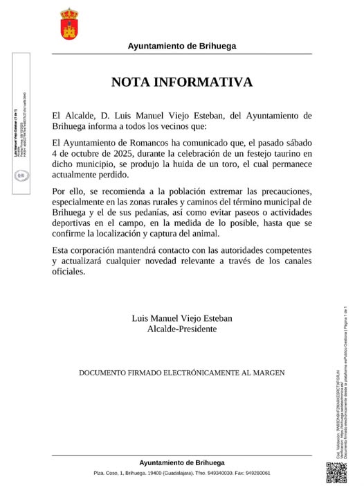 Ayto Brihuega Toro Romancos