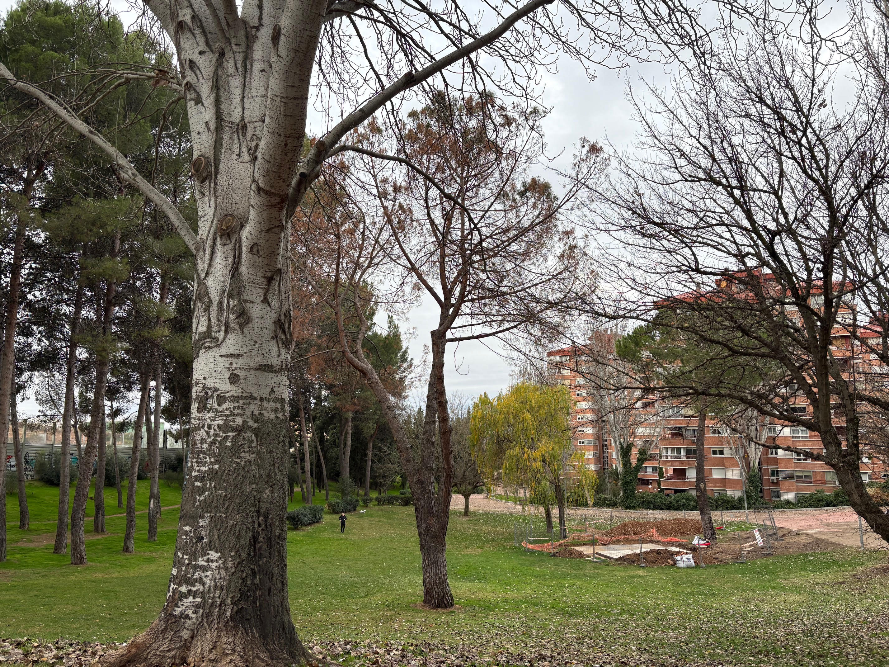 parque constitución GD  1