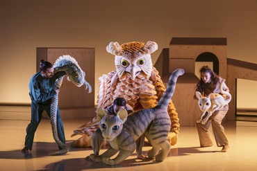 La Gata títeres Thomas Noone Dance