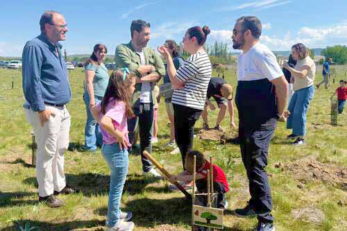 Plantación Castillejos Un nacimiento un árbol 1