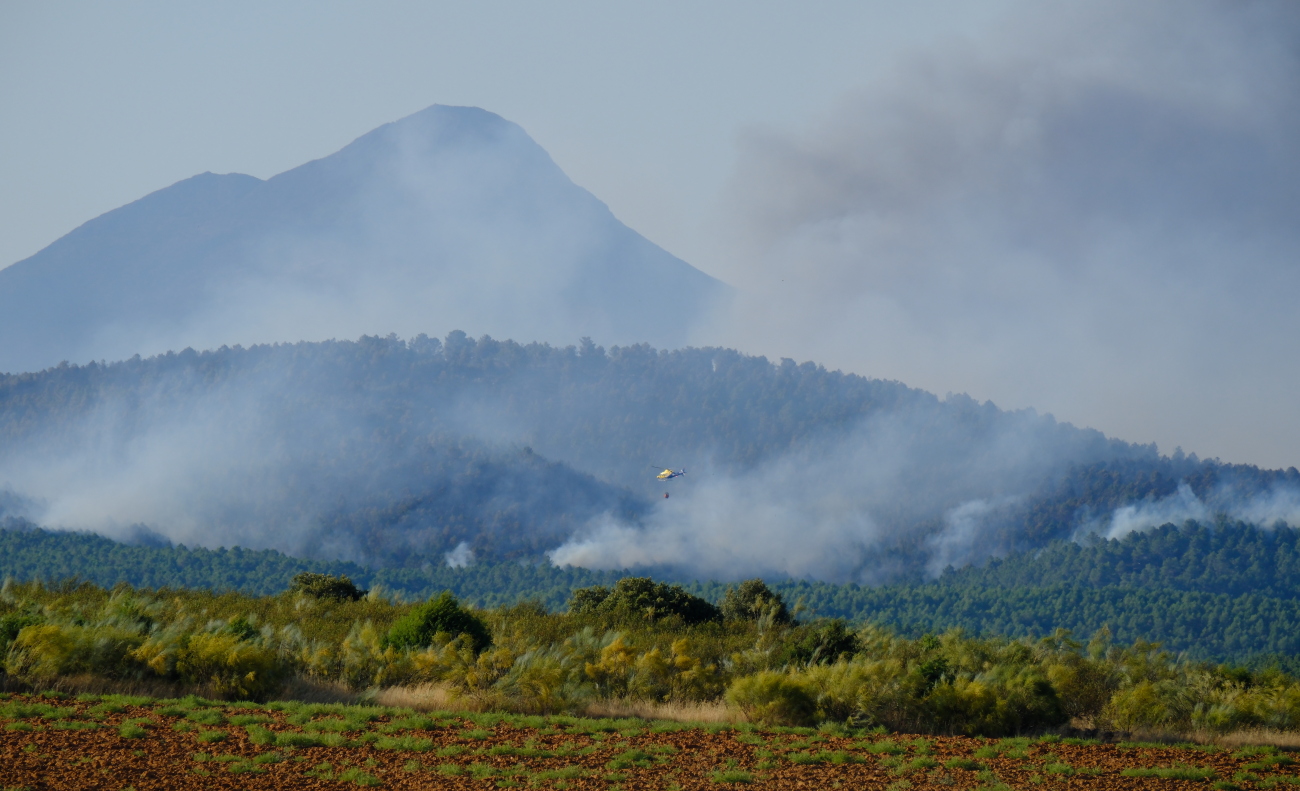 Incendio forestal Muriel Foto Eduardo Bonilla 18