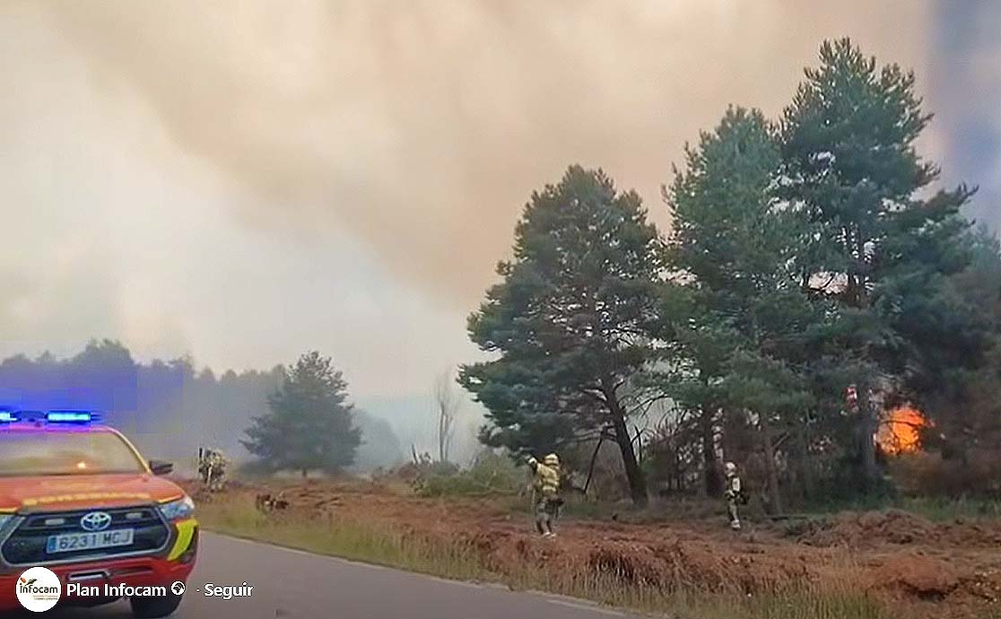 Incendio Sierra Norte -  Día martes 21-Julio pinar