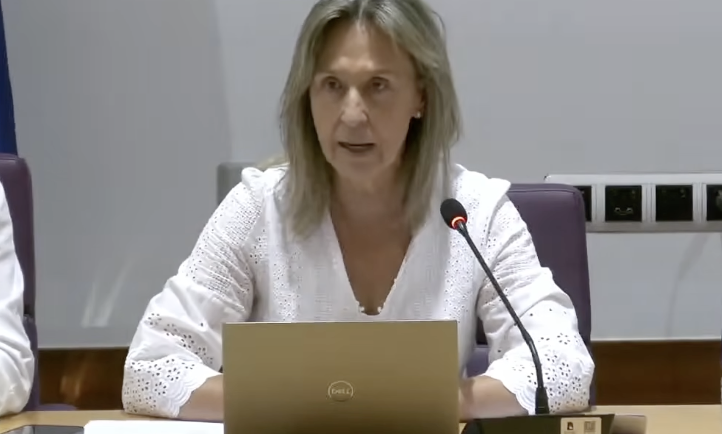guarinos pleno julio 2026