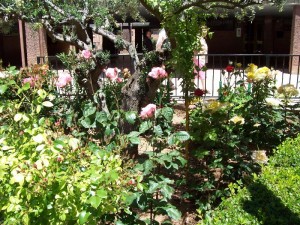 Este es el balcón ganador del II Concurso de Flores - GuadalajaraDiario