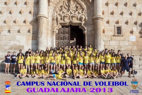 voley