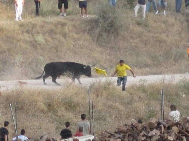 Brihuega-Encierro5