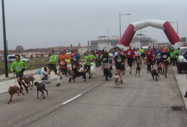 Canicross Marchamalo 2014
