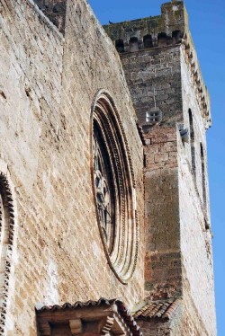 Roseton de El Salvadorcifuentes