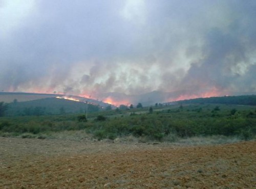 Frente-Cogolludo-ceis