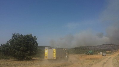 aleas-revive-incendio