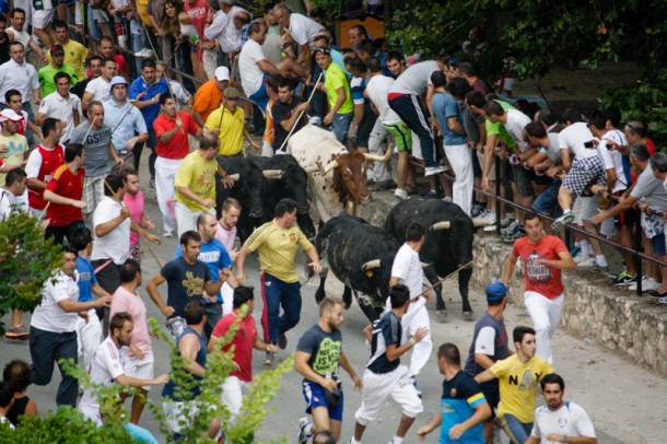 Brihuega-encierro1