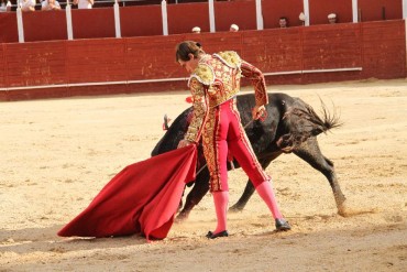 trillo-toros