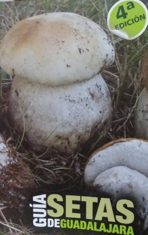 guia-setas