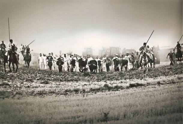 yunquera-fototaurina3