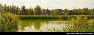 Laguna de Miralcampo Azuqueca