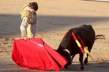 NovilladaDomingo CarlosSanchez