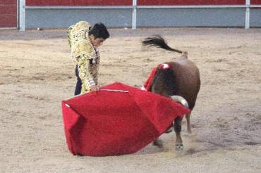 NovilladaDomingo JoseRojo 1
