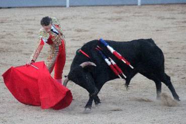 NovilladaDomingo Salenc