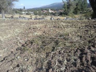 condemios-roturaciones