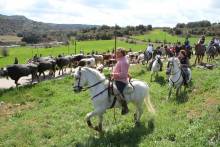 azanon-transhumancia