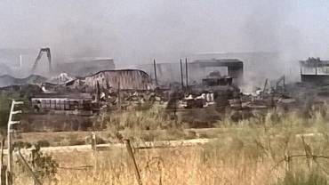 chiloeches-planta-29