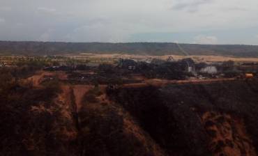 chiloeches-planta-quemada