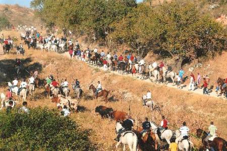 Brihuega-Encierro 2