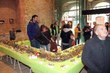 ExposicionMicologica2