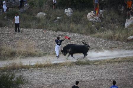 brihuega-encierro-recorte