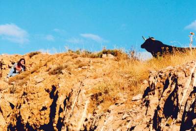 segundo premio-toroalcarria