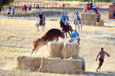 tercer-premio-toroalcarria