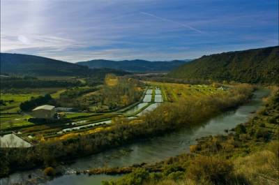 esturinones-piscifasctoria-yesa