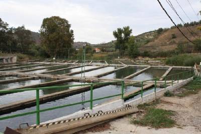 piscifactoria-riofrio-granada