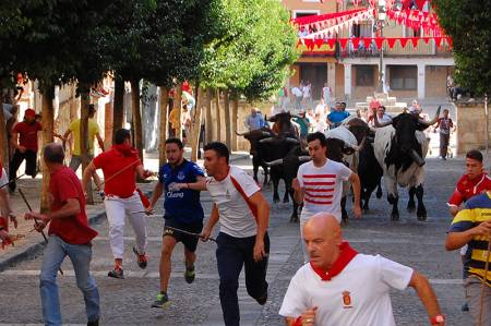 brihuega-encierro2017