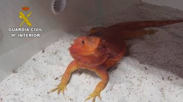 2017-09-22 D.BARBUDO Prensa 3